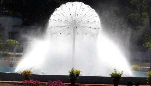 dandelion-with-mist-fountain